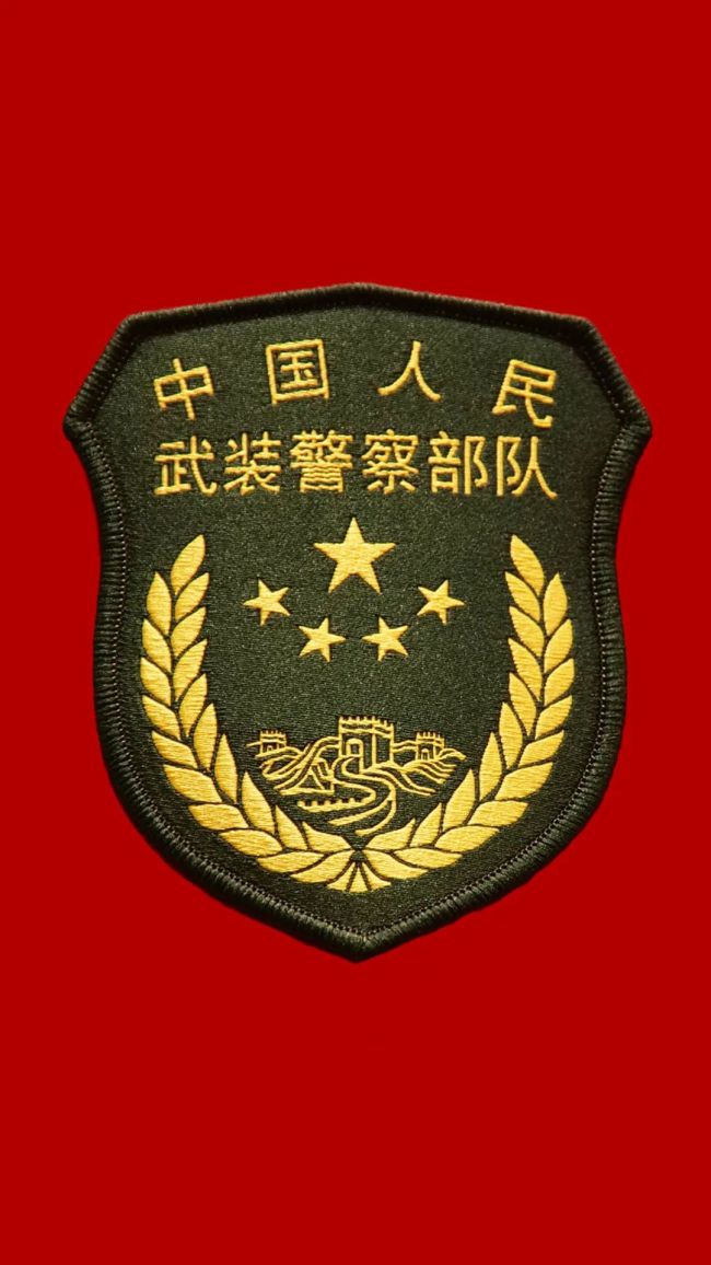 展出解放军和武警部队21式作业服臂章,胸标