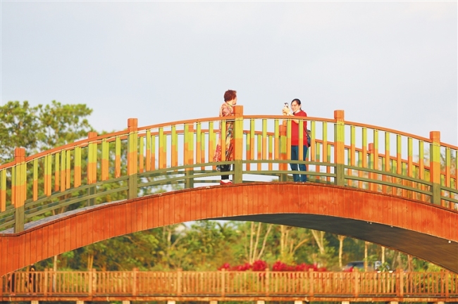 在屯昌县屯城镇文赞湿地公园，居民在桥上拍照留念。 方山 摄