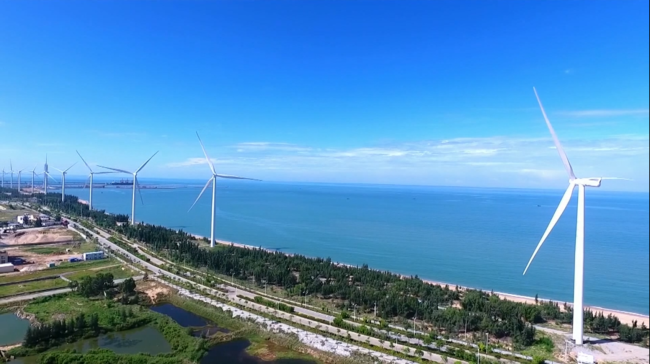 2021年，海南清洁能源电量占比由52%提升至59%，实现风、光、水电实现全额消纳。图为沿海风力发电  宋印官 摄