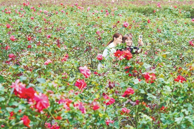 游客在三亚亚龙湾玫瑰谷景区游玩。