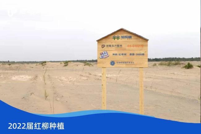 旭辉永升“宝贝加油跑”第二季结营仪式落幕