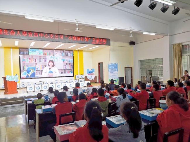 与光同行，为爱延续——“小海豚计划”公益活动走进枝江市七星台小学