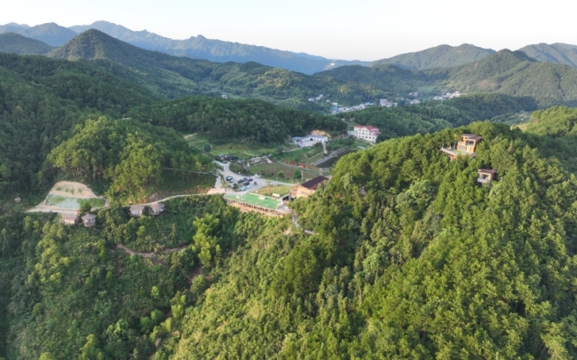 湖北浠水林长助力绿色颜值生金银