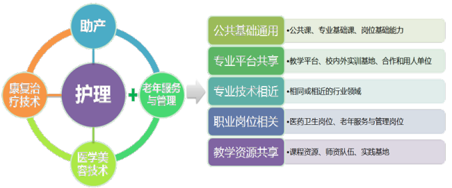 湖北职业技术学院护理专业高质量发展纪实