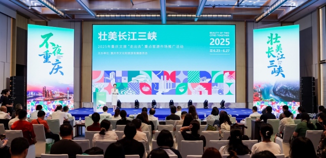 2025重庆文旅“走出去”重点客源市场推广活动（武汉站）圆满收官