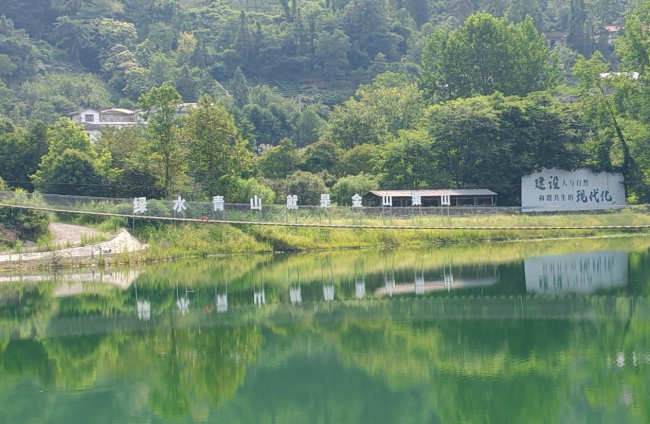 青年学子探访带水河：治理实践添活力，法治护航展新姿