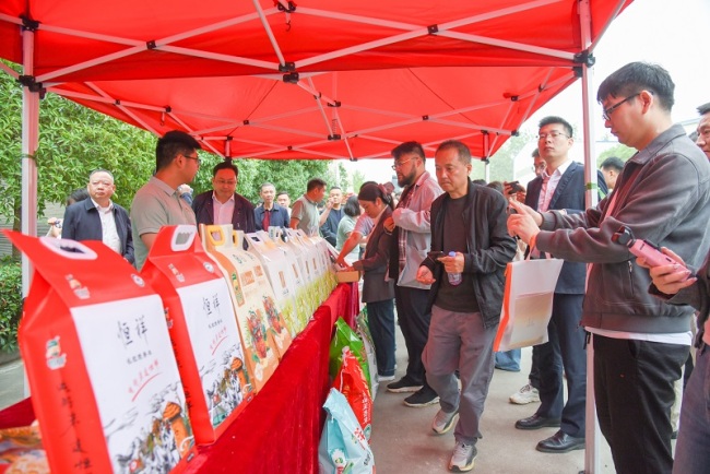 全国50多家主流媒体齐聚湖北监利 沉浸式感受“一粒好米”的千年文化魅力