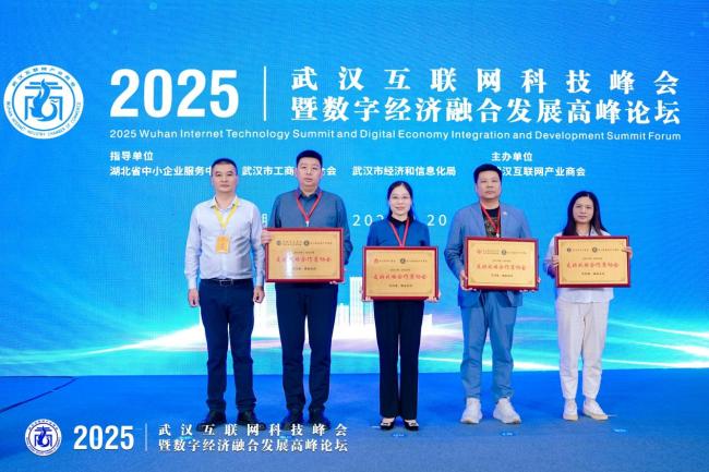 2025武汉互联网科技峰会暨数字经济融合发展高峰论坛成功举办 共绘数字经济融合发展新蓝图