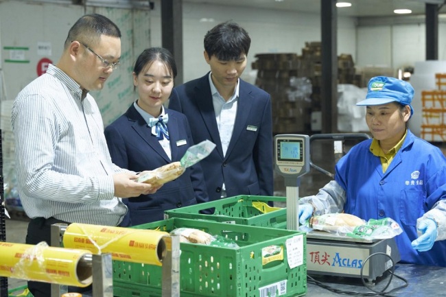 洪湖莲藕“邮”点甜,金融活水润丰年