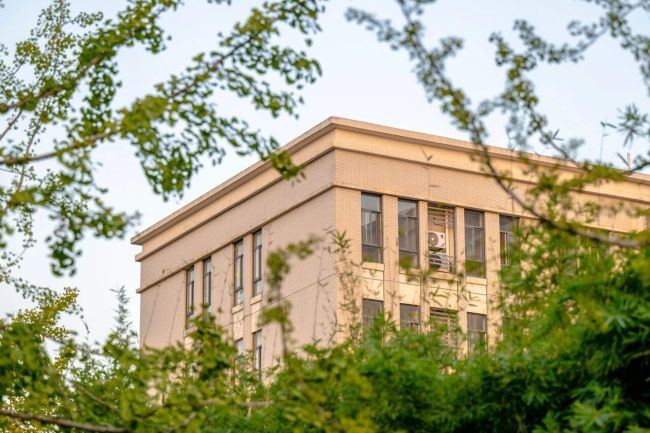 秋日彩蛋！外经贸学院校园桂花二次绽放引师生追捧