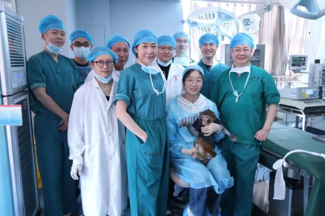 武汉同济医院重大突破！