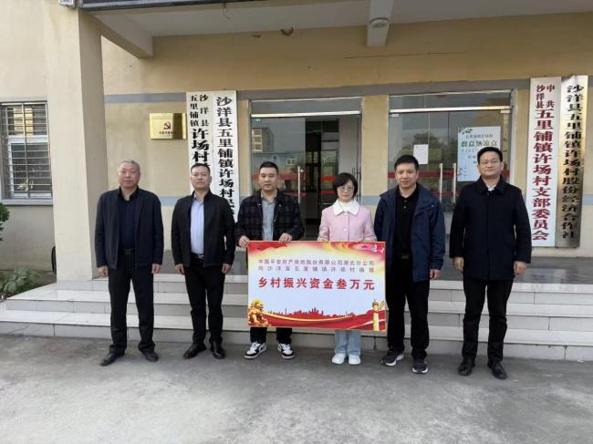 平安产险湖北分公司与许场村开展党建共建