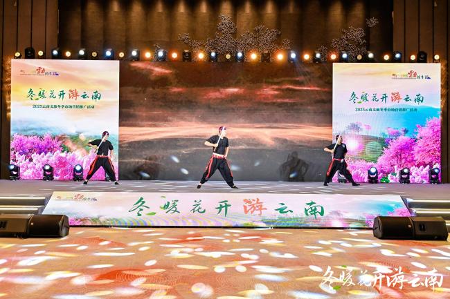 “冬暖花开游云南”2025冬季文旅推广活动走进武汉  共绘跨区域合作新图景