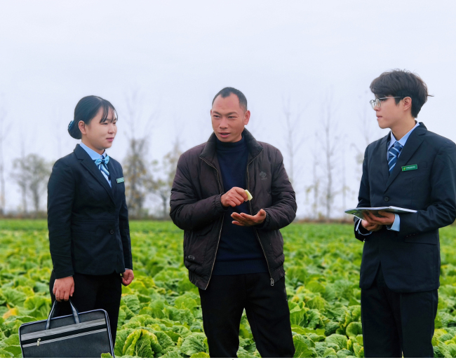 金融活水精准滴灌“蔬菜之乡” ——邮储银行“极速贷”助力嘉鱼蔬菜香飘世界