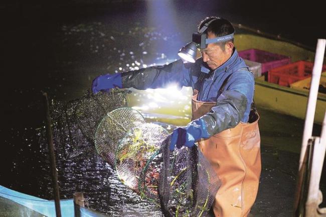 潜江四季有虾四季红,冬虾总产量预计超2.6万吨  一筐筐小龙虾出水就能卖出好价钱