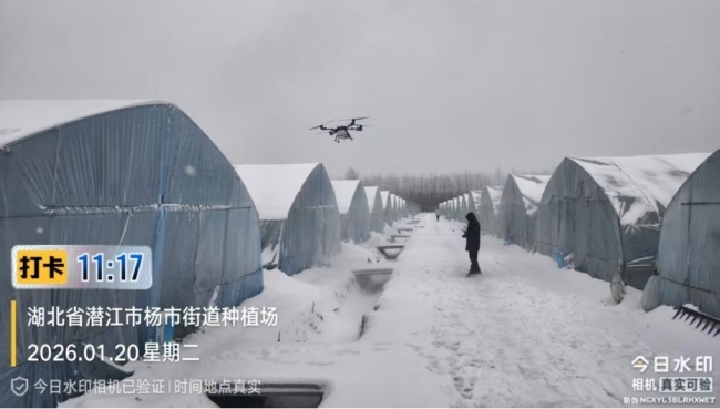 潜江平安跑出农险服务“加速度”,“防、减、救、赔”解农忧