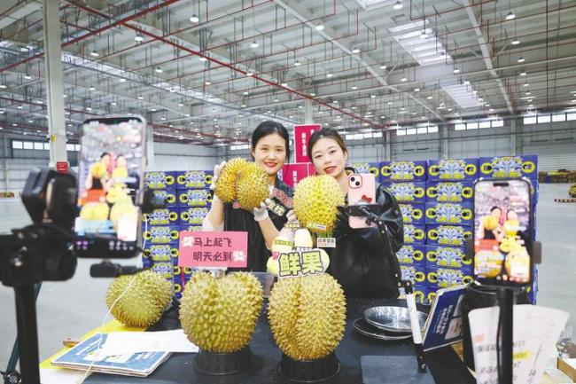 春光正好 七力起势