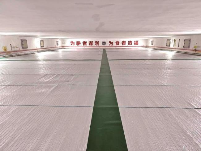 现代化“大国粮仓”为湖北人的“米袋子”保驾护航  粮食盖“被子”吹“空调”安稳过年