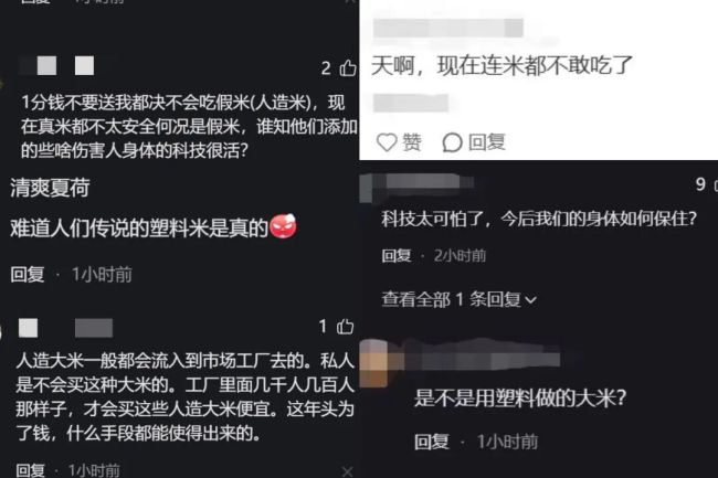 网上吵翻的“塑料米”“人造米”谣言 湖北专家解读