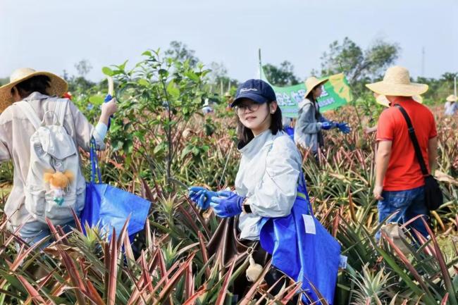 来自“半个中国”的人赶往海南“抢凤梨”？结果是场公益？