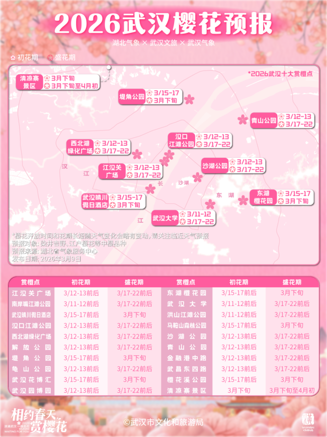 武汉樱花哪天最美？最新权威预报来了