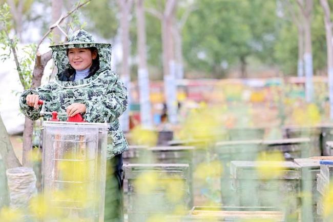 沙洋女养蜂人32年追花酿蜜  每年奔波12000公里带动乡邻致富