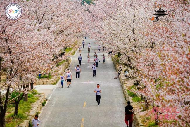 2026黄陂首届樱花跑鸣枪开跑