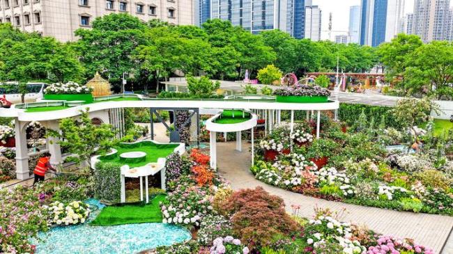 一展饱览湖北12座城市人文自然风貌  五一假期来武汉打卡都市圈花展