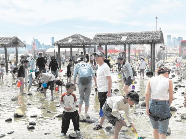 东湖沙滩“五一”日投7000只螃蟹 孩子们满载而归 喜不自胜