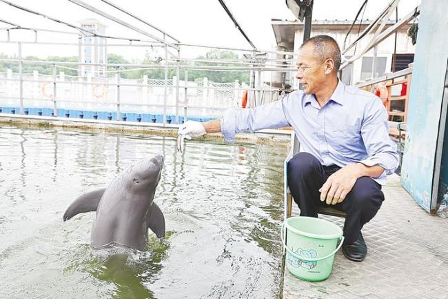 18年守护“长江的微笑”  “江豚奶爸”的苦乐悲欢