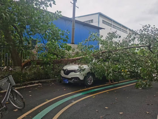 迎战台风“巴威”,平安产险湖北分公司首案赔付仅用时27分钟