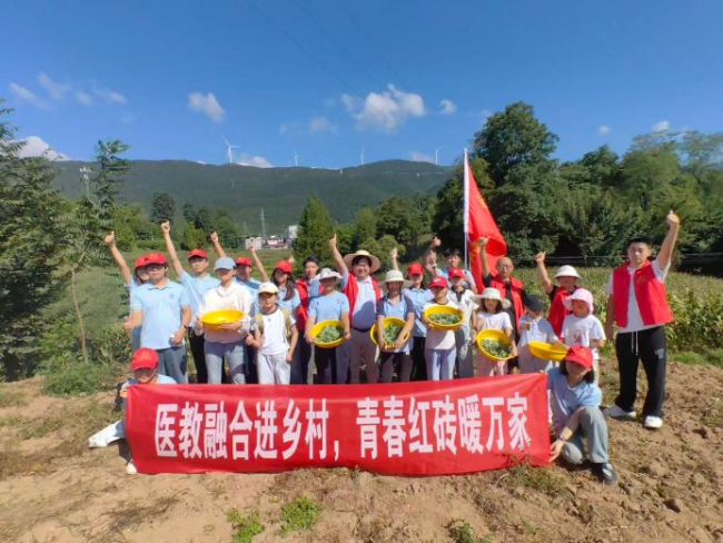 采撷青青艾草，传承本草文化——“红砖”筑南坪实践队采艾实践活动