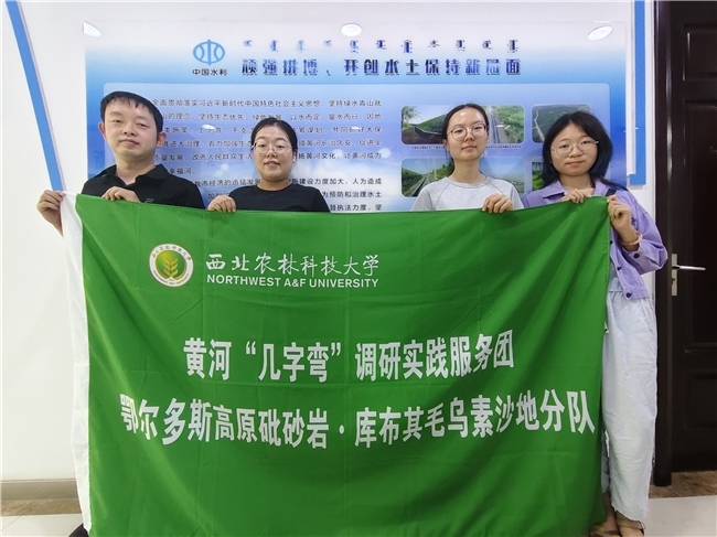 青耘三北护绿脉 青春建功几字弯