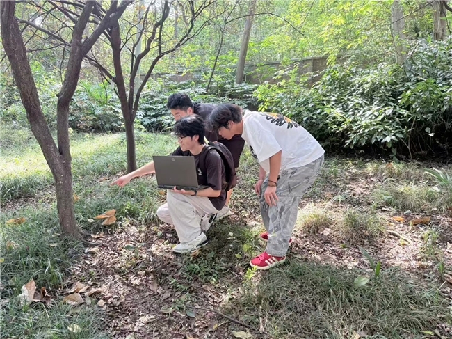 智能防火新范式：程子阳团队林业巡检机器人推动林业安全智能化转型