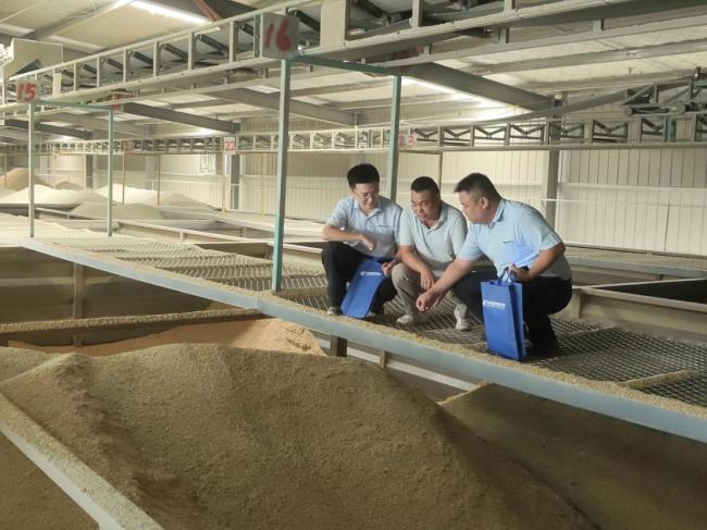 金融活水润粮仓 ——邮储银行天门市支行“粮食产业贷”护航秋粮收购
