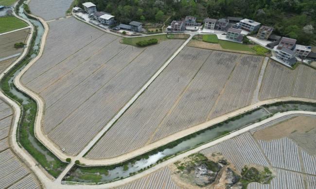 雄峙群山铸丰碑——中国铁塔帮扶宣恩十年纪实