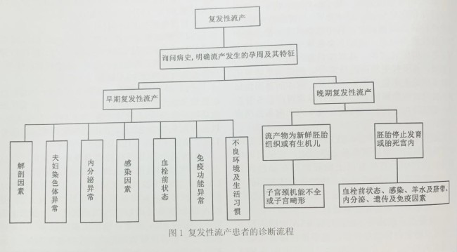张建平教授执笔的《复发性流产诊治的专家共识》获评“2022年度TOP 300指南/共识”