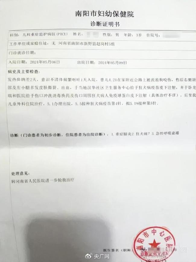 男童被狗咬伤离世！狂犬疫苗为何无用？