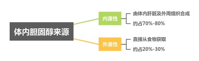 胆固醇高吃什么可以降下来？健康生活+科学用药，赶走“坏”胆固醇