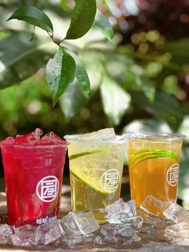 草本与潮流的碰撞！陆藜·开了个方子让年轻人主动捧起“养生茶杯”