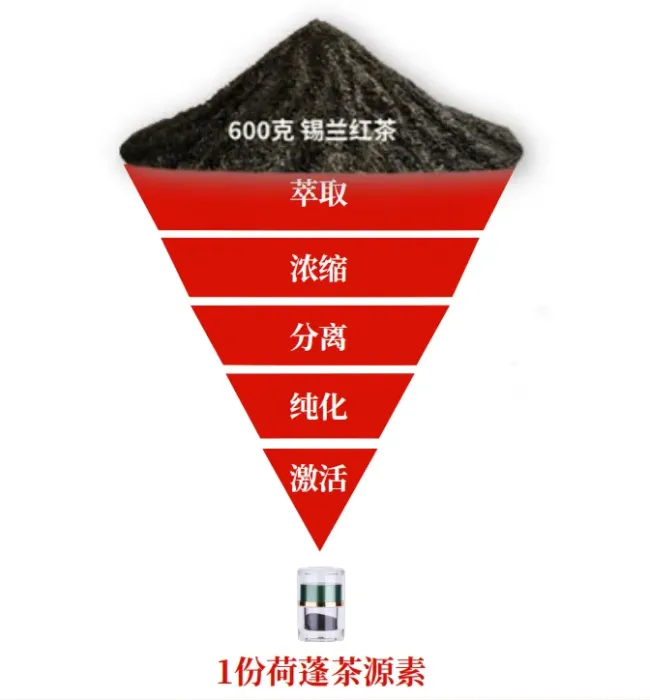 为什么说茶源素能加速药物吸收并减轻药物副作用？原理大揭秘