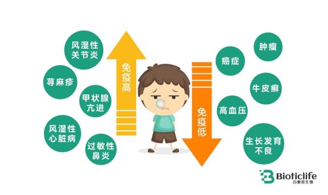 百奥蒂（BIOTICLIFE）：当免疫系统“加班”，你的细胞也会累