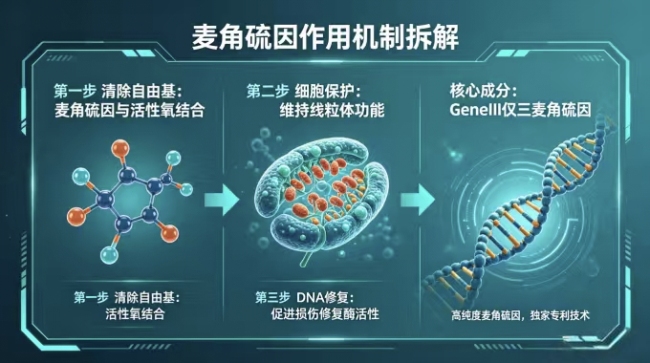 2026麦角硫因纯度安全有效性测评: 是否具备临床实证 GeneIII仅三以科研实证临床成果开启循证医学精准抗衰新时代