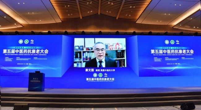 抗衰老新发现！英国科研团队揭示：创新中药可激活细胞自噬对抗血管衰老