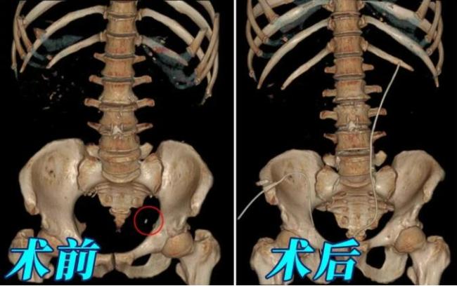 QQ截图20260520100257.jpg