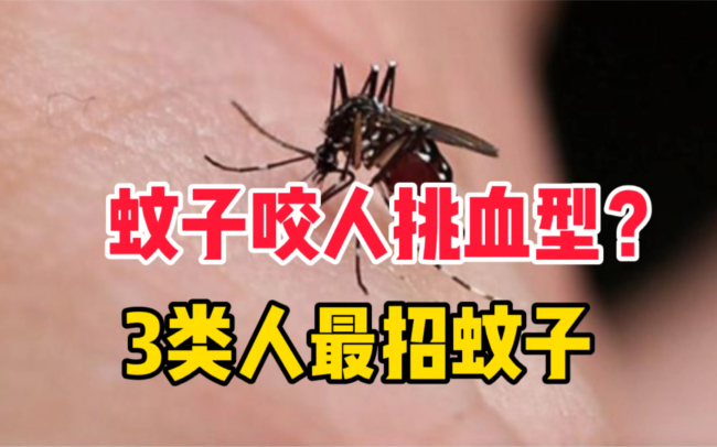 夏天招蚊子别怪血型！五个防蚊误区快来自查 