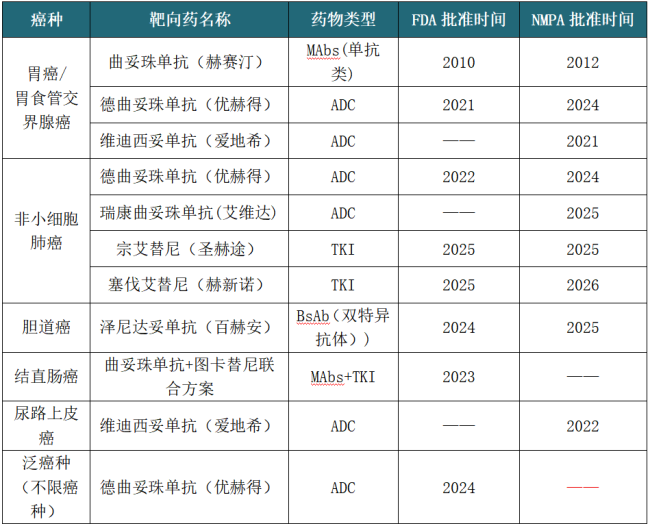 顶流靶点HER2进化史：多癌种精准突围，撑起靶向治疗半壁江山