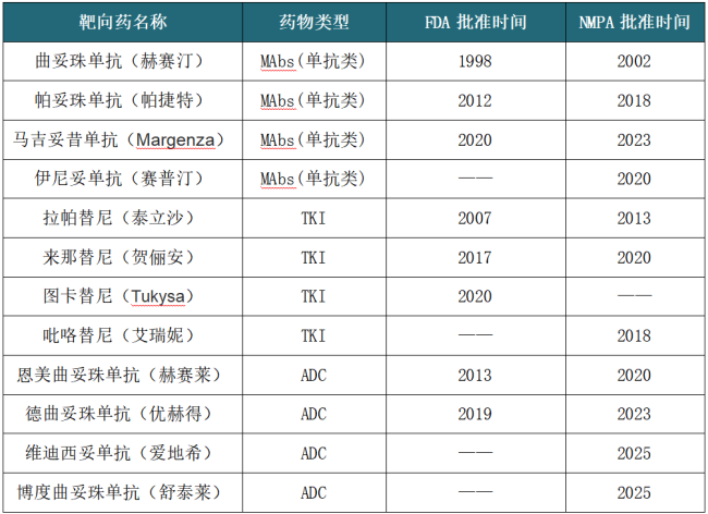顶流靶点HER2进化史：多癌种精准突围，撑起靶向治疗半壁江山