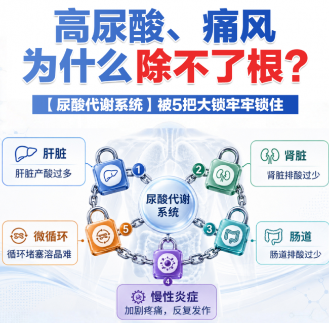 酸友五维控酸组合：开拓尿酸管理新思路，告别痛风“脚痛医脚”的困境