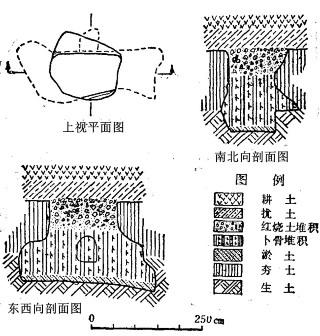 3000年前的“国王排名”：甲骨文中周文王的逆袭进击